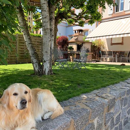 Chez Michele Et Philippe Munster (Haut-Rhin) Exterior foto