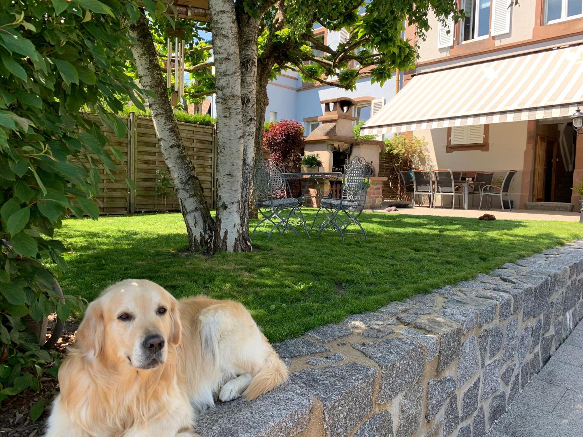 Chez Michele Et Philippe Munster (Haut-Rhin) Exterior foto