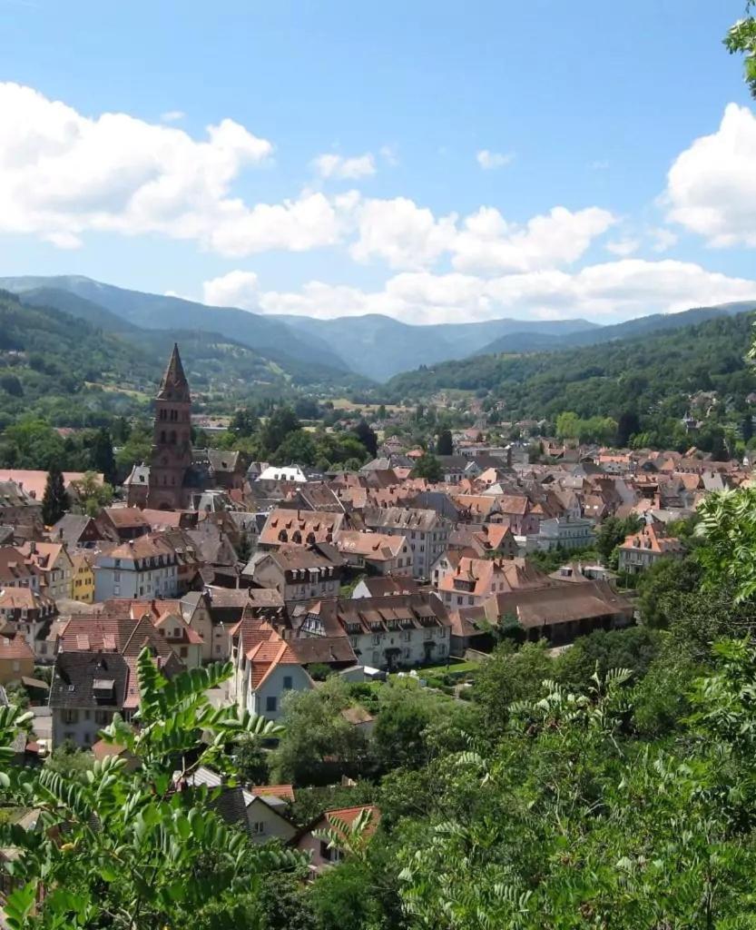 Chez Michele Et Philippe Munster (Haut-Rhin) Exterior foto